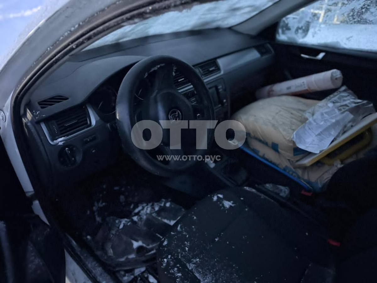 Skoda Rapid I лифтбек продажа 5