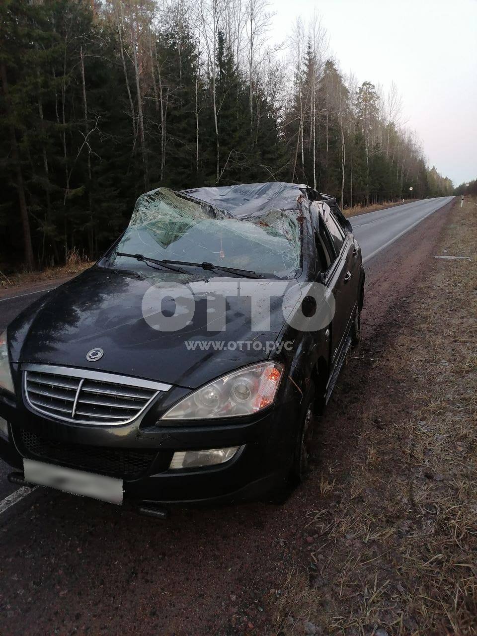 SsangYong Kyron I Рестайлинг внедорожник 5 дв. продажа