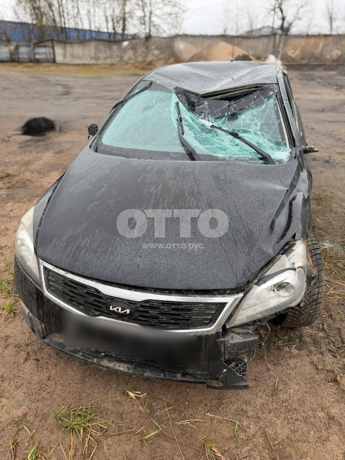 Kia Ceed I Рестайлинг хэтчбек 5 дв. продажа 4